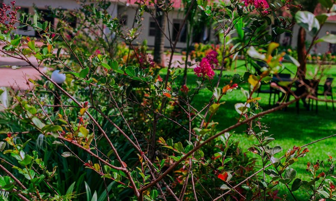 Busia Hotel | JLM HOTEL BUSIA