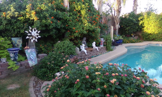 San Tan Valley House | Johnson Ranch SanTan Valley Golfing, Swimming, Hiking, & for Lovers of Naturen