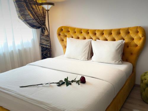 Sector 3 Apartment | JSN House - Private Parking & Premium Services