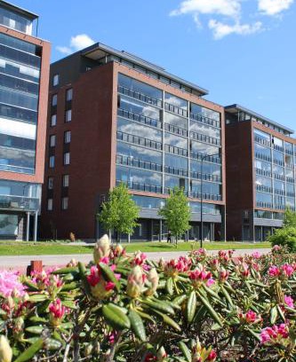 Jyvaskyla Apartment | Juhannusruusu [Rosa spinisissima] - best lake view