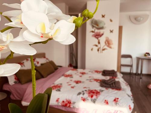 Zalau Apartment | Julia Apartament