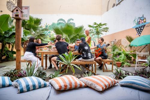 Vegueta Hostel | Jungle House