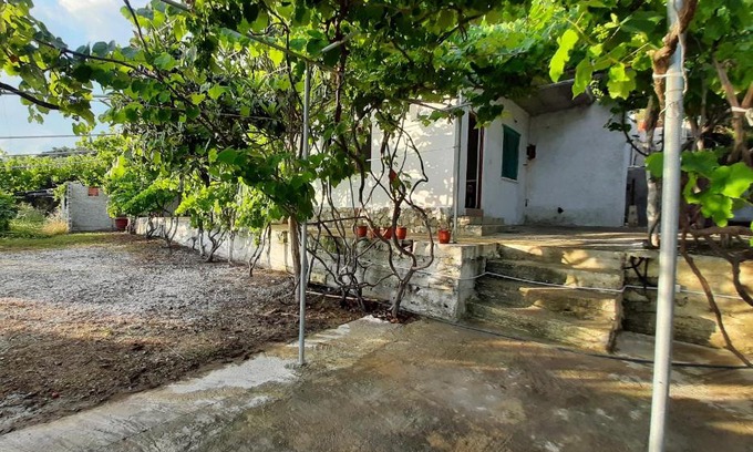 Borsh House | Jungle House