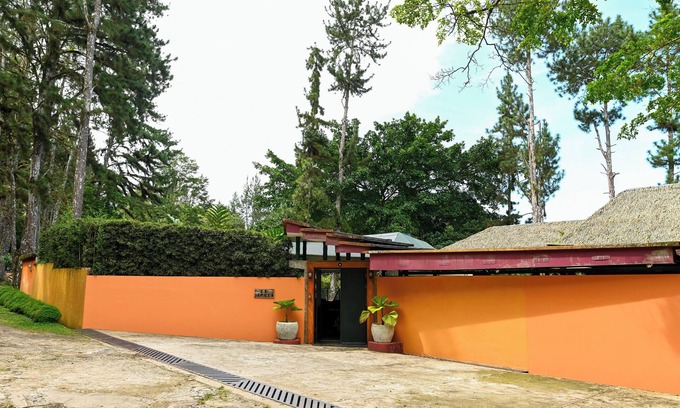 Cerro Azul Bed & Breakfast | Jungle Mansion - 7 Bedrooms with Gardens, Pool, Jacuzzi, & More