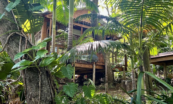 Nelspruit Cabin | Jungle Treehouse - No Loadshedding LoerieRoep Unit 5
