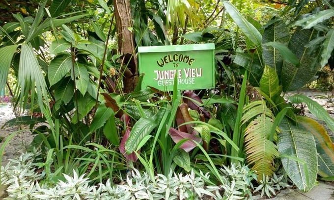 Bukit Lawang House | Jungle View Homestay & Guesthouse Only Stay Here Book Treking With Us