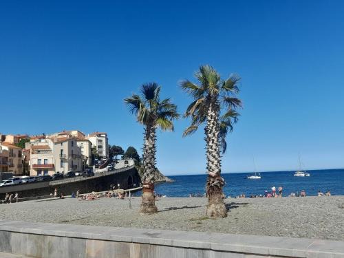 Banyuls-sur-Mer Apartment | Junior 14600
