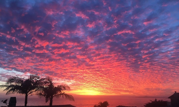 Opal Cliffs House | Just 1 House to Beach, Views, Kid&Dog Friendly, New W/Ds& Spa,4+Kings,GatedParkg