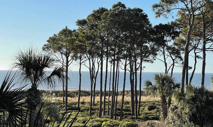 Hilton Head Island Condo | Just Beachy! Absolute top notch design, Oceanviews