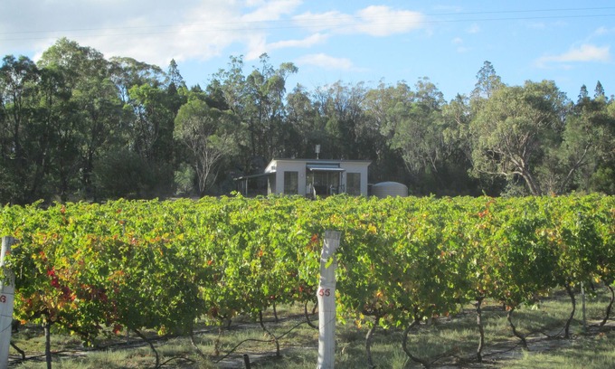 Ballandean Cabin | Just Red Wines Vineyard Cabins