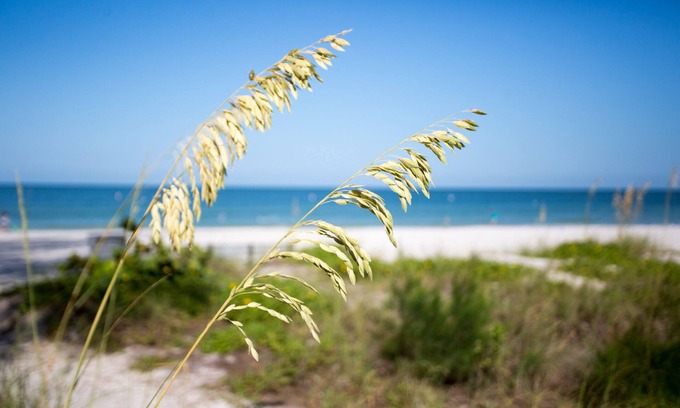 Sunset Beach Condo | Just steps to the white sandy beach!