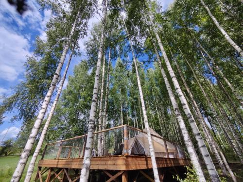 Tammela Other | Käkiniitty Glamping Cuckoo Camp