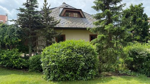 Krivoklat Villa | Křivoklátské Johnyho bydlení