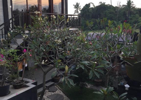 Ubud City-Centre House | Kamol House Ubud