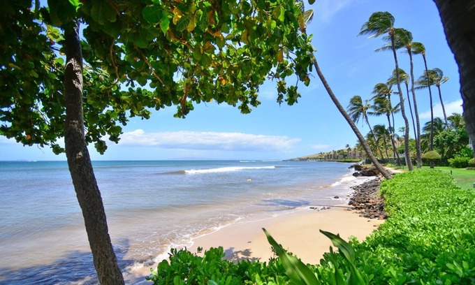 Maalaea Condo | Kanai A Nalu Ground Floor Unit with a View, Steps From the Beach, A/C Thru Out!