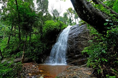 Sakleshpur House | Karadikallu Homestay with Private Waterfalls