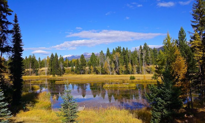 Seeley Lake Cabin | Katie Kabin, The Crow's Nest and Antler Annex in Seeley Lake | Private Setting