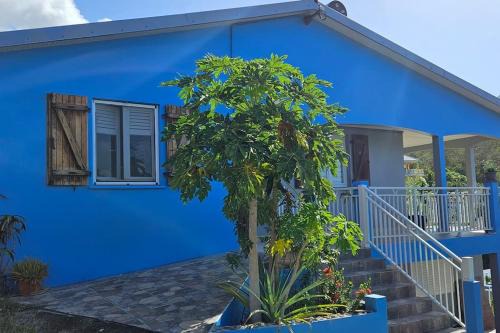 Les Anses-d'Arlets House | Kaz Colibri
