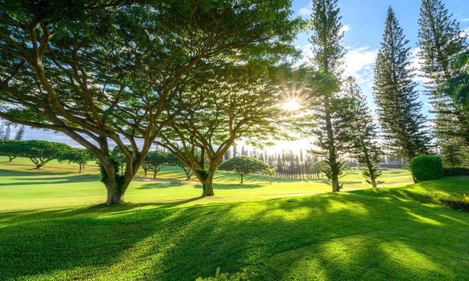 Kapalua Condo | KBM Resorts - 2 FREE CARS - Kapalua Golf Villa - Golf Course view - 2 2-Bedroom Condos! KGV-14P6/V3