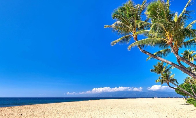 Honokowai Condo | KBM Resorts | FREE CAR | Honua Kai Konea | Updated 1 Bedroom at Oceanfront Resort HKK-816