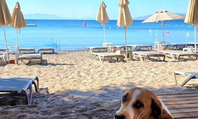 Ortakent Hotel | Kefi Beach and Suites