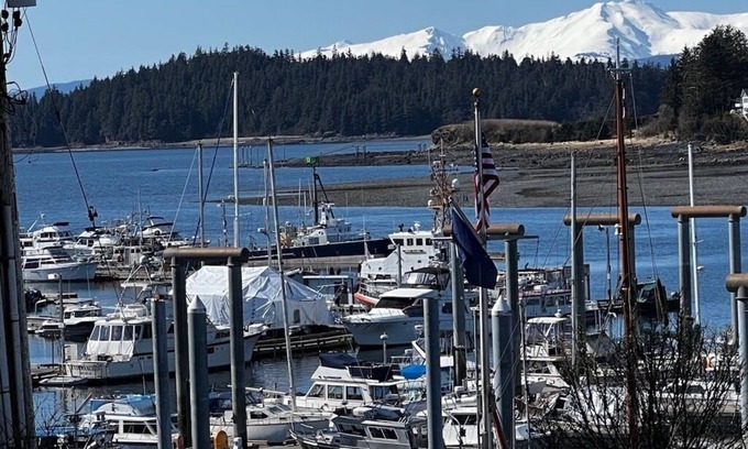 Juneau Apartment | Kelli's Harbor Suites - In Auke Bay Walking Community - DISCOUNT ON TOURS