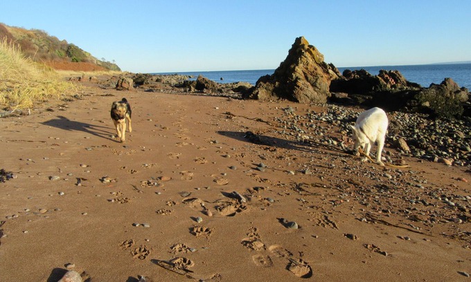 Fortrose Cottage | Kestrel, Longhouse Cottages