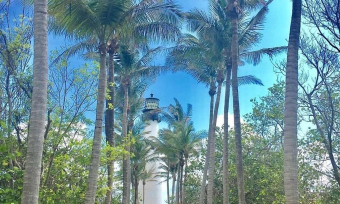 Key Biscayne Apartment | Key Biscayne Paradise Apt