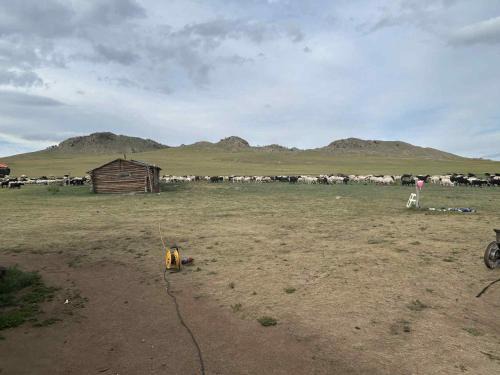 Arhangay Other | Khairhan cabin like place