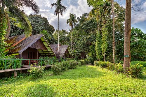 Khlong Sok Cabin | Khao Sok Riverside Cottages
