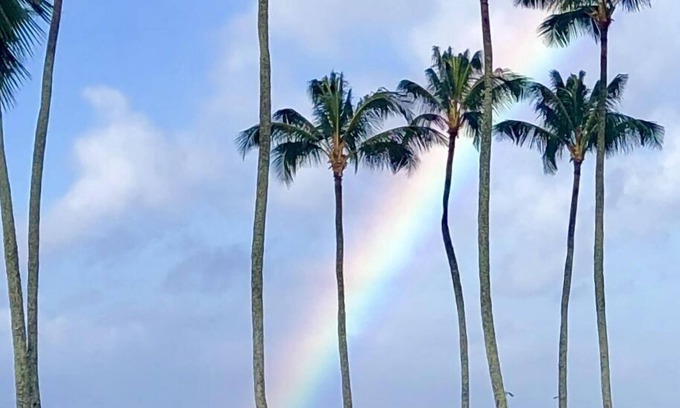 Poipu Hotel | Kiahuna Ocean View Ground Floor- in Unit Washer/dryer