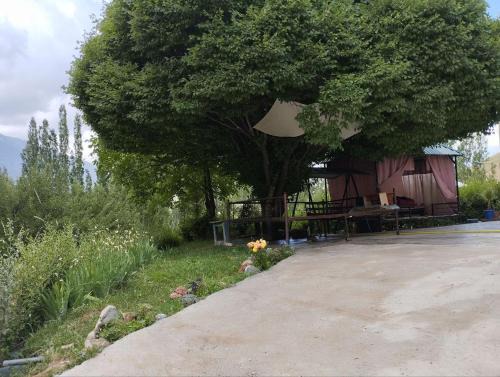 Kashkadarya Province House | Kimiyo