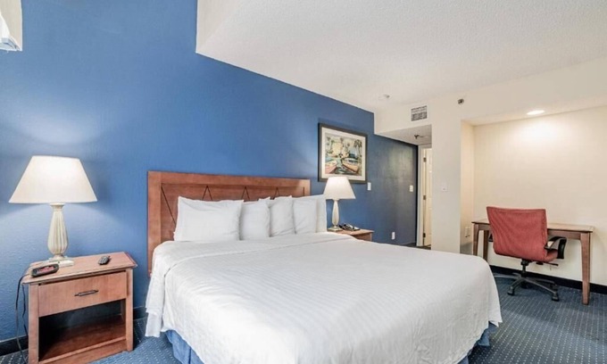 Doral Apartment | King Executive Suite Near Taxleaf Doral MIA
