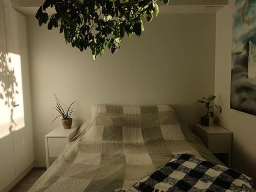 Lantinen District Apartment | King's Oak Jungle