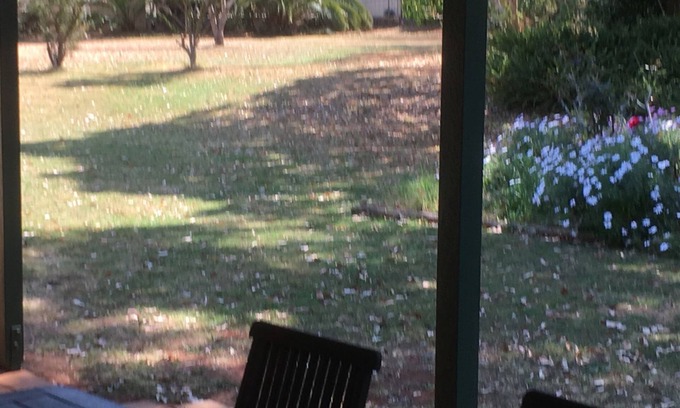 Kingaroy House | "Kingaroy Short Term Rentals" -The Ranch