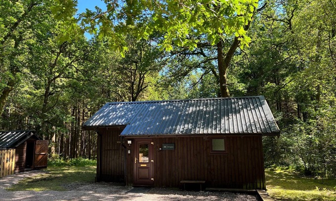 Taynuilt Cabin | KINGLAS is a charming cabin in a lovely, peaceful location deep in the forest