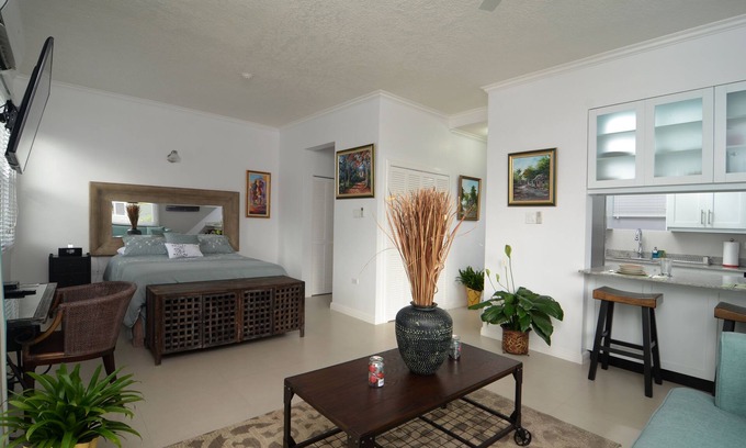 Saint Andrew Apartment | Kingsway New Kingston Guest Apartment II