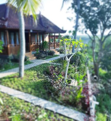 Penida Island Hotel | KKorok Hill Cottage