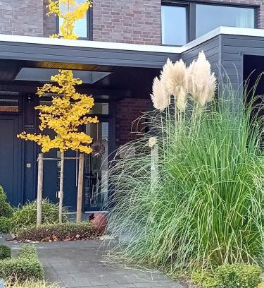 Friesoythe Apartment | Klause am grünen Hof
