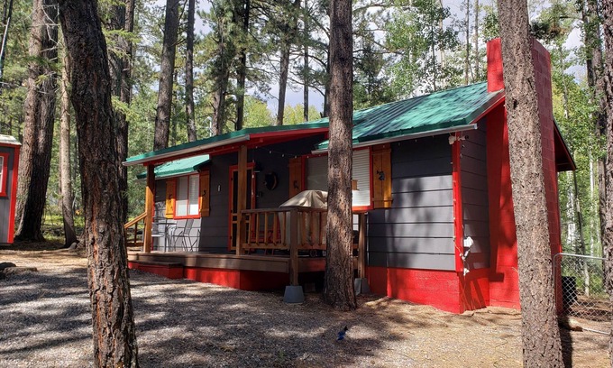 Greer Cabin | Knotty Bear Cabin in Greer