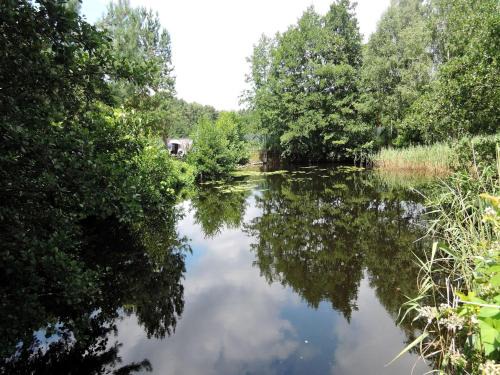 gmina Wolin Apartment | Ko czewo Lake & Forest Farm Stay