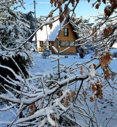 Zlatibor House | Kod Gruja