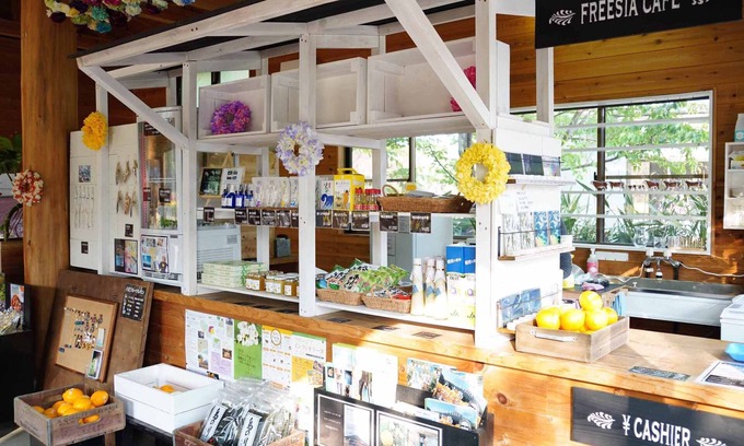 Hachijo House | Kokumin Shukusha Sun Marina