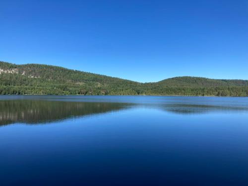 Koli National Park Apartment | Koli country club basic 6