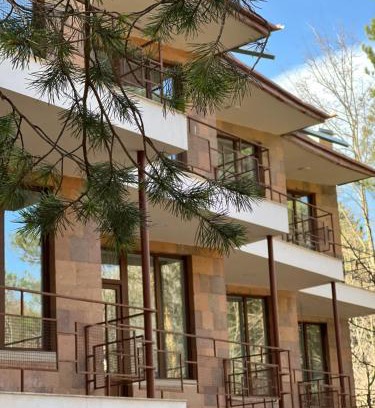 Dilijan Hotel | Kompozitor Hotel Dilijan