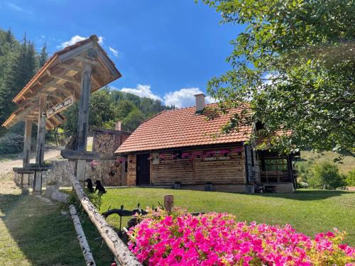 Bajina Basta House | Konak Mandica avlija