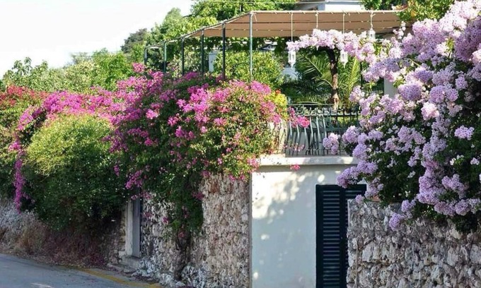 Aetos House | Konstantinas House, a touch of nature & sea
