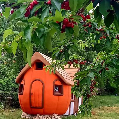 Skradin Resort | Krka Magic Pumpkin