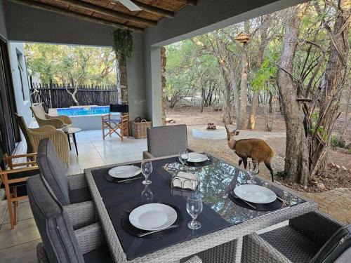 Marloth Park Villa | Kruger Amani Bush Retreat