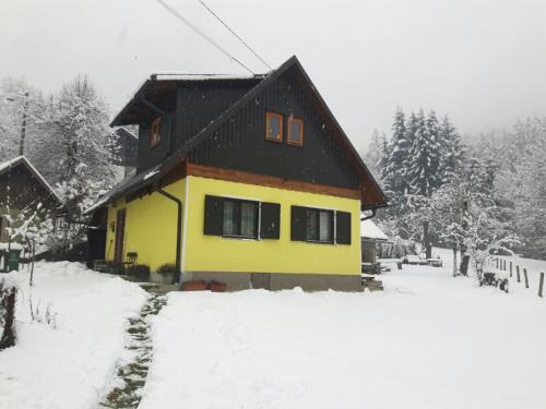 Plesce Ski Chalet | Kuća za odmor Forest Dream u blizini rijeke Kupe